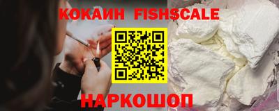 a pvp Новозыбков