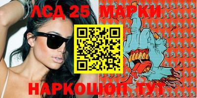 a pvp Новозыбков