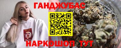 a pvp Новозыбков