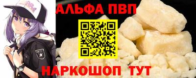 a pvp Новозыбков