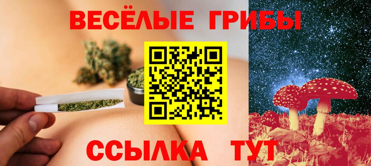 Галлюциногенные грибы Psilocybine cubensis Химки