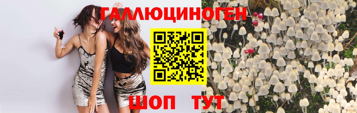 Химки  Галлюциногенные грибы MAGIC MUSHROOMS  Вход с VPN  Галлюциногенные грибы ЛСД 