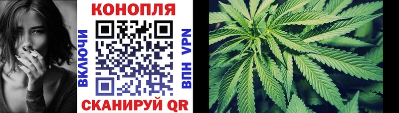 Каннабис тримм сколько стоит Химки